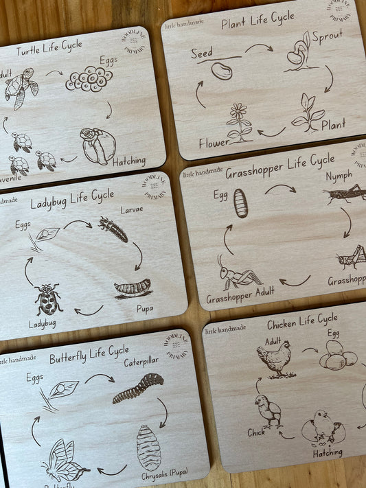 x9 Bug/Plant Life Cycle Boards