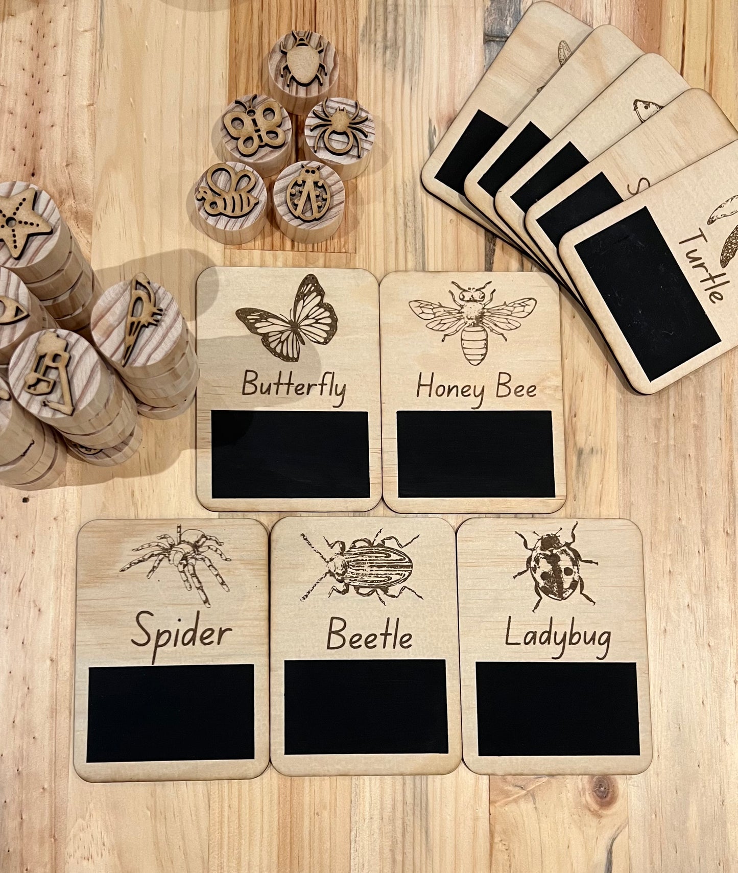 ‘Insects and Bugs’ Timber Flashcard Chalkboard Set